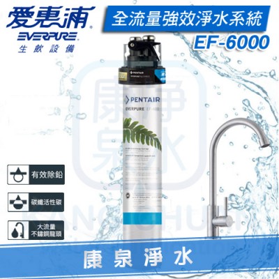 EVERPURE 台灣愛惠浦全流量強效碳纖維系列淨水系統 PURVIVE EF-6000
